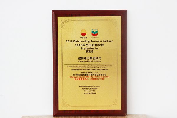 我集团荣获川东北自然气项目2018年优异相助同伴奖