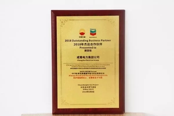 来自7790必发集团电力集团的2019答卷