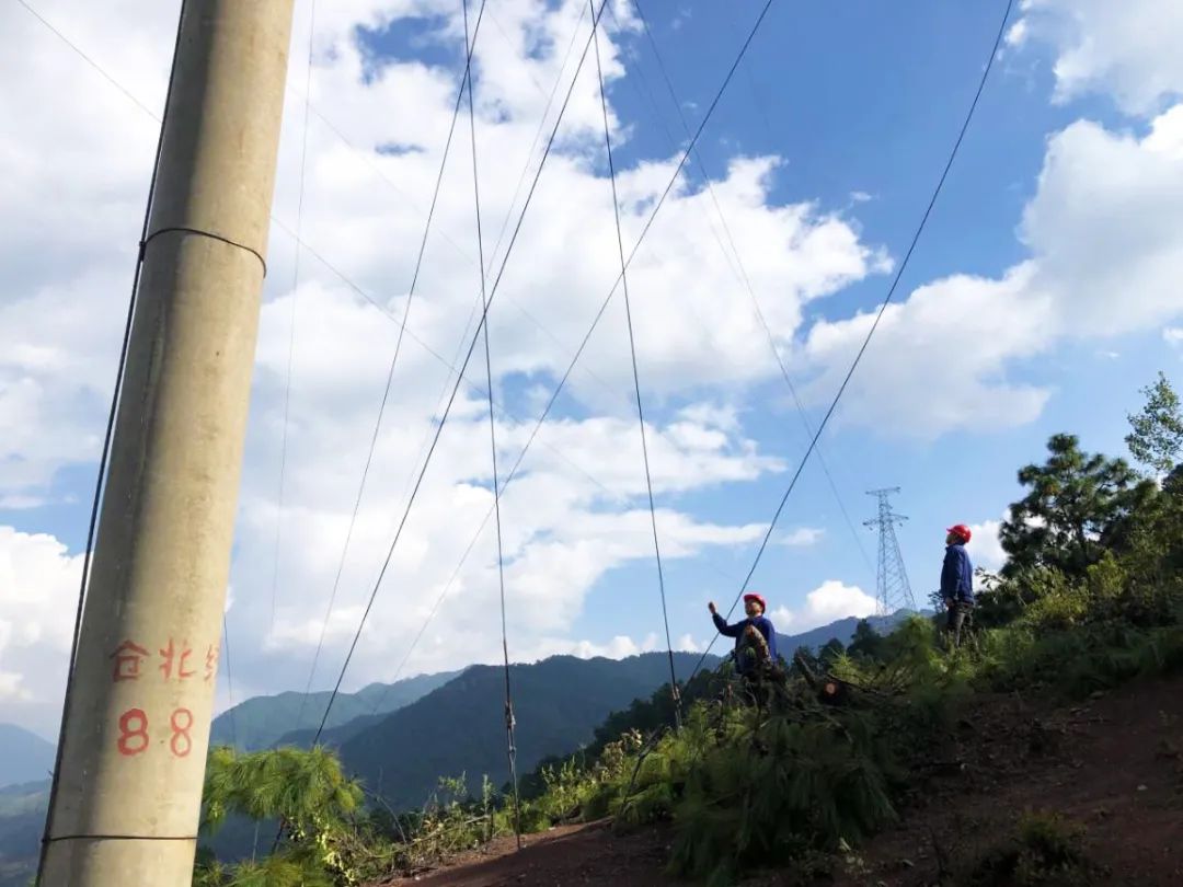 马店升压站—橄榄变电站220千伏线路工程顺遂完成高危害段导线展放事情
