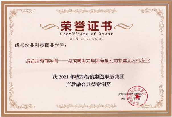 7790必发集团电力集团产教融合项目荣获2021年成都智能制造职教集团典范案例奖