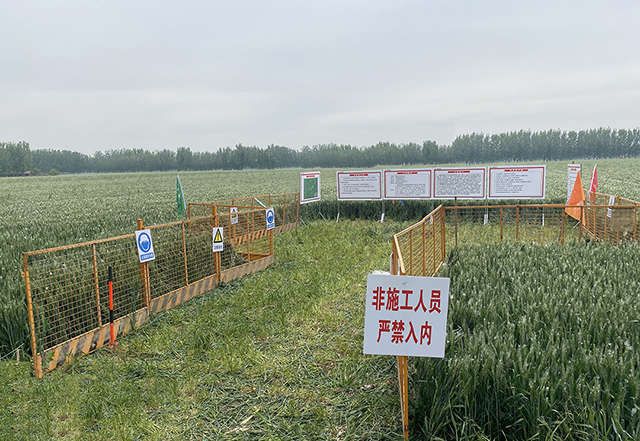 国瑞洁源平原风电场项目正式开工建设