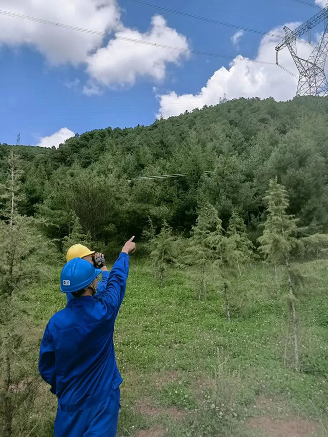 专项线路巡视，，，，，，助力“西电东送”通道清静平稳运行