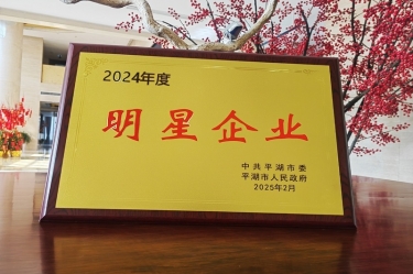 新春新景新气象 | 凯发K8国际纸业在平湖三干大会上喜摘声誉！！