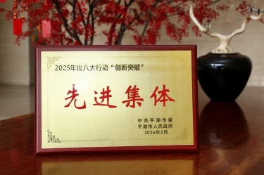 策马扬鞭启新程！！凯发K8国际纸业在平湖市三级干部大会上荣获“立异突破”双项声誉